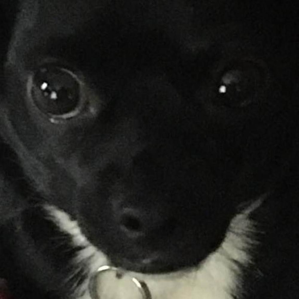 Meet your Posher, Cj